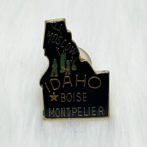 🔮 5/$25‎ Vintage Idaho Pin